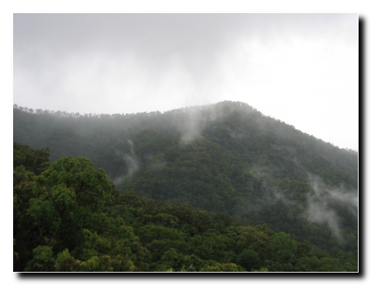 008 Ueber dem Regenwald